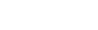 FlowForceMax official logo